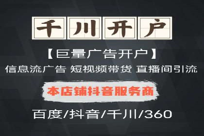 SEM外包服务应用案例分析